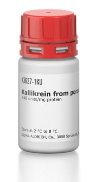 Kallikrein from porcine pancreas &#8805;40&#160;units/mg protein