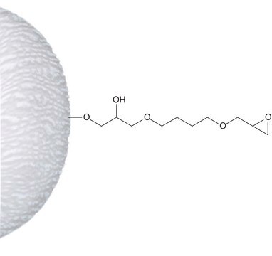 Epoxy-activated-Agarose lyophilized powder