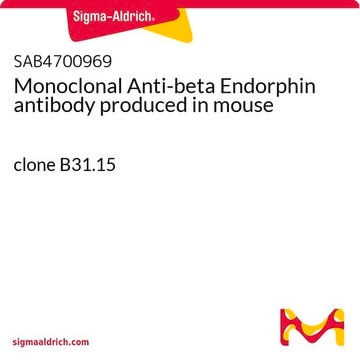 Monoclonal Anti-beta Endorphin antibody produced in mouse clone B31.15