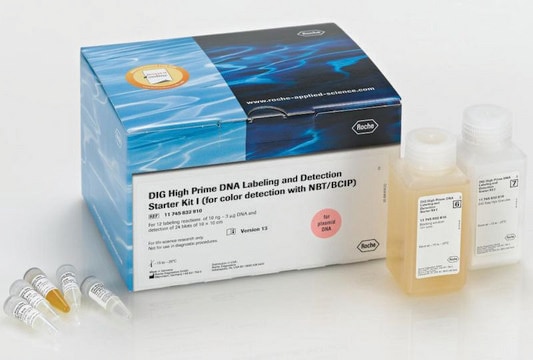 DIG-High Prime DNA Labeling and Detection Starter Kit I sufficient for 12&#160;labeling reactions, sufficient for 24&#160;blots, suitable for hybridization, suitable for Northern blotting, suitable for Southern blotting