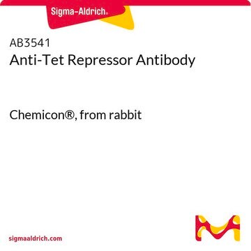 Anti-Tet Repressor Antibody Chemicon&#174;, from rabbit