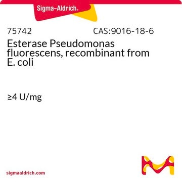 Esterase Pseudomonas fluorescens, recombinant from E. coli &#8805;4&#160;U/mg