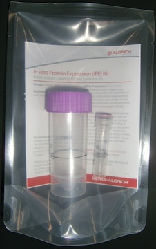 In Vitro Protein Expression (iPE) Kit II