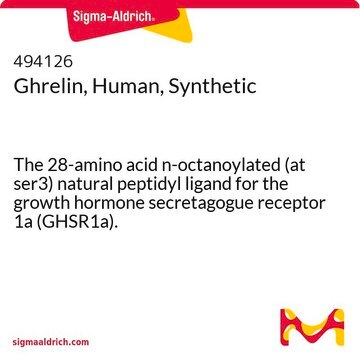 Ghrelin, Human, Synthetic The 28-amino acid n-octanoylated (at ser3) natural peptidyl ligand for the growth hormone secretagogue receptor 1a (GHSR1a).