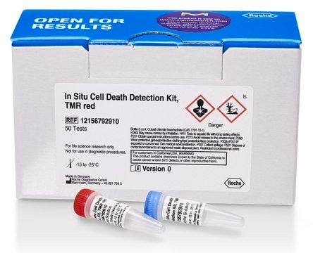 In Situ Cell Death Detection Kit, TMR red sufficient for &#8804;50&#160;tests