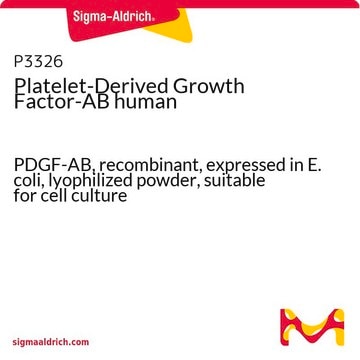 Platelet-Derived Growth Factor-AB human PDGF-AB, recombinant, expressed in E. coli, lyophilized powder, suitable for cell culture