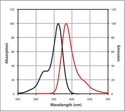 Anti-Goat IgG (H+L), highly cross-adsorbed, CF&#8482; 568 antibody produced in donkey ~2&#160;mg/mL, affinity isolated antibody