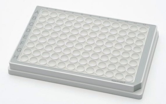 Eppendorf&#174; Microplate 96/F-PP sterile (PCR clean), flat bottom white wells, white wells, gray border, pkg of 80&#160;plates (5 bags x 16 plates)