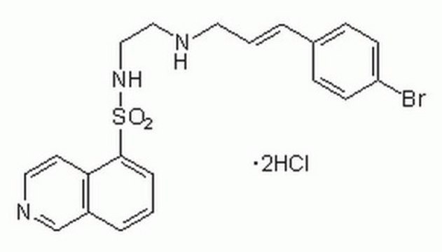 H-89, Dihydrochloride A cell-permeable, selective, reversible, ATP-competitive and potent inhibitor of protein kinase A (Ki = 48 nM).