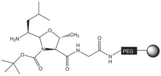 H-Leu-H NovaSyn&#174; TG resin Novabiochem&#174;