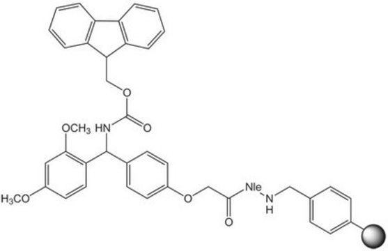 Rink Amide AM resin LL (100-200 mesh) Novabiochem&#174;