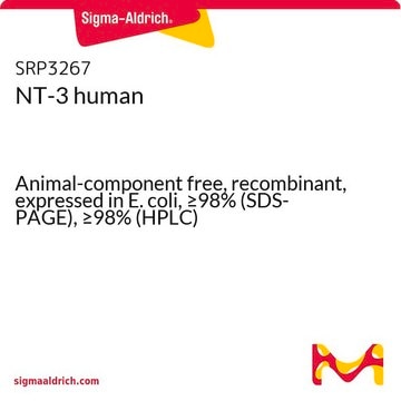 NT-3 human Animal-component free, recombinant, expressed in E. coli, &#8805;98% (SDS-PAGE), &#8805;98% (HPLC)