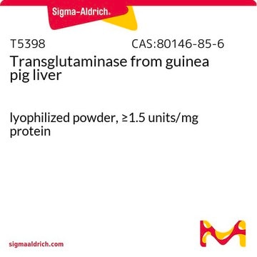 Transglutaminase from guinea pig liver lyophilized powder, &#8805;1.5&#160;units/mg protein