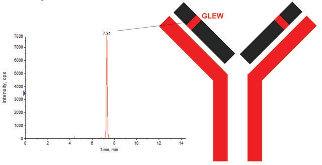 SILu&#8482;MAb Rituximab Stable-Isotope Labeled Monoclonal Antibody recombinant, expressed in CHO cells