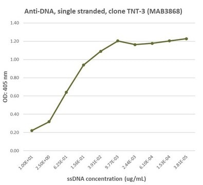 Anti-DNA Antibody, single stranded clone TNT-3, Chemicon&#174;, from mouse