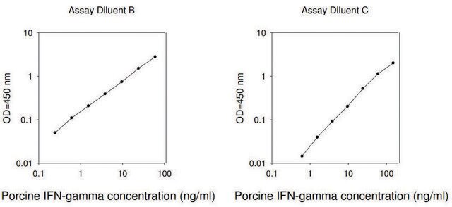 Porcine IFN &#947; ELISA Kit for serum, plasma and cell culture supernatant