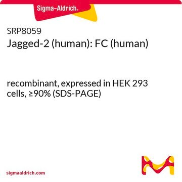 Jagged-2 (human): FC (human) recombinant, expressed in HEK 293 cells, &#8805;90% (SDS-PAGE)