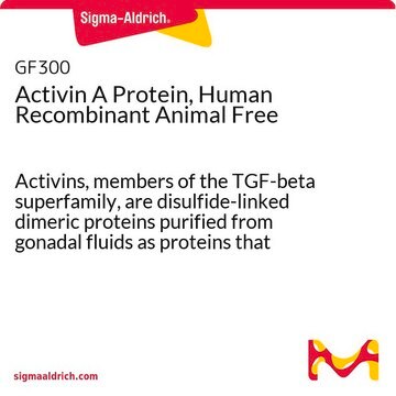 Activin A Protein, Human Recombinant Animal Free Activins, members of the TGF-beta superfamily, are disulfide-linked dimeric proteins purified from gonadal fluids as proteins that stimulated pituitary follicle stimulating hormone (FSH) release.