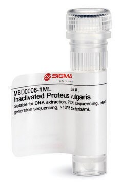 Inactivated Proteus vulgaris Suitable for DNA extraction, PCR, sequencing, next generation sequencing, &gt;10^8 bacteria/mL