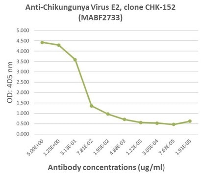 Anti-Chikungunya virus E2 Antibody, clone CHK-152