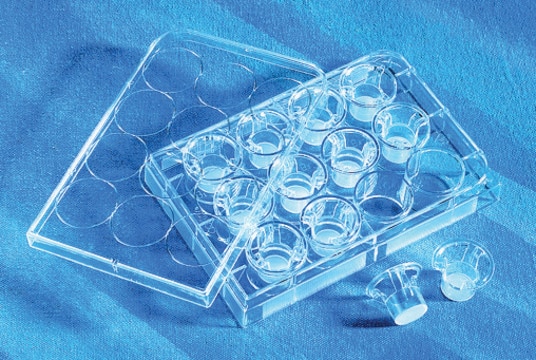 Corning&#174; Transwell&#174; polycarbonate membrane cell culture inserts 6.5 mm Transwell with 5.0 &#956;m pore polycarbonate membrane insert, TC-treated, w/lid, sterile, 48/cs