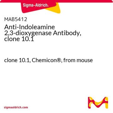 Anti-Indoleamine 2,3-dioxygenase Antibody, clone 10.1 clone 10.1, Chemicon&#174;, from mouse