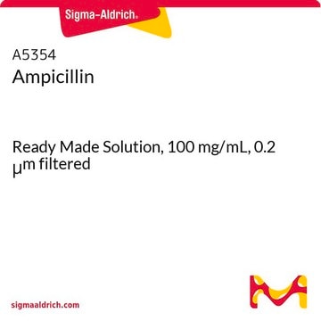 Ampicillin Ready Made Solution, 100&#160;mg/mL, 0.2 &#956;m filtered