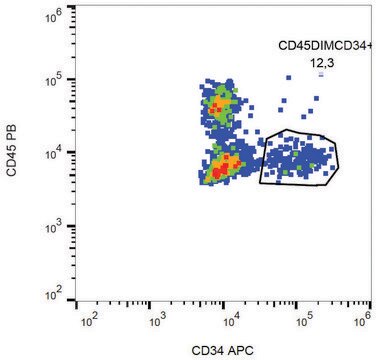 Monoclonal Anti-CD34-APC antibody produced in mouse clone 581