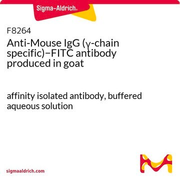 Anti-Mouse IgG (&#947;-chain specific)&#8722;FITC antibody produced in goat affinity isolated antibody, buffered aqueous solution