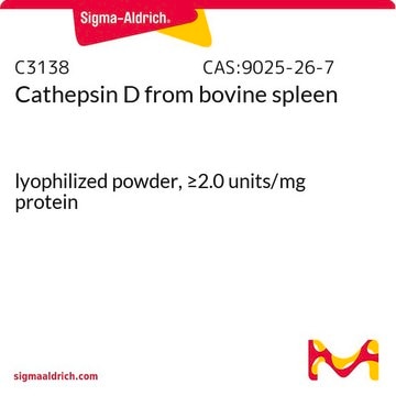 Cathepsin D from bovine spleen lyophilized powder, &#8805;2.0&#160;units/mg protein