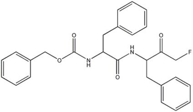 Cathepsin L Inhibitor I The Cathepsin L Inhibitor I, also referenced under CAS 108005-94-3, controls the biological activity of Cathepsin L. This small molecule/inhibitor is primarily used for Protease Inhibitors applications.