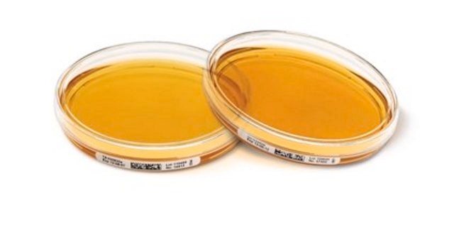 Tryptic Soy Agar - Ready-to-use Settle Plates ICR with non-lockable lid, plate volume × diam. 30&#160;mL × 90&#160;mm, sterile; &#947;-irradiated, pkg of 10&#160;plates Triple packed, suitable for air monitoring