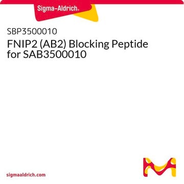 FNIP2 (AB2) Blocking Peptide for SAB3500010