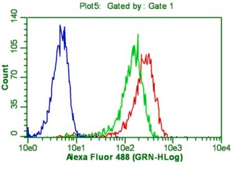 Anti-OCT-4 [POU5F1] Antibody, clone 7F9.2 clone 7F9.2, from mouse