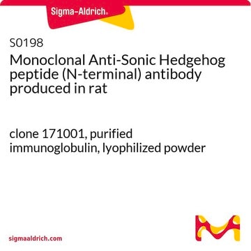 Monoclonal Anti-Sonic Hedgehog peptide (N-terminal) antibody produced in rat clone 171001, purified immunoglobulin, lyophilized powder