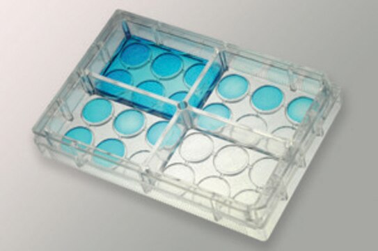 IdMOC&#174; tissue culture plate 4 chambers, size 24&#160;wells, pkg of 1&#160;ea