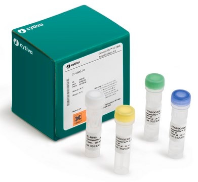 GenomiPhi&#8482; V2 DNA Amplification Kit, 25 RXN Cytiva 25-6600-30, sufficient for 25&#160;reactions