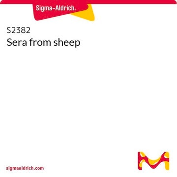 Sera from sheep