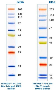 mPAGE&#174; Color Protein Standard