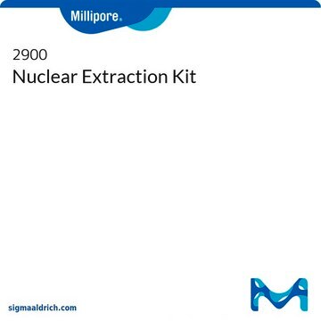 Nuclear Extraction Kit