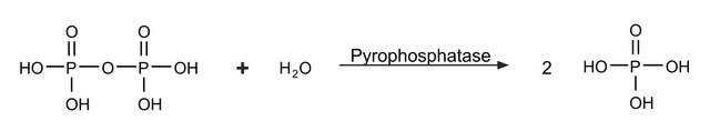 Pyrophosphatase, Inorganic from Escherichia coli recombinant, expressed in E. coli, lyophilized powder, &#8805;90%, &#8805;800&#160;units/mg protein