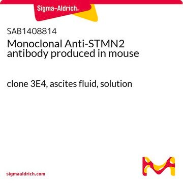 Monoclonal Anti-STMN2 antibody produced in mouse clone 3E4, ascites fluid, solution