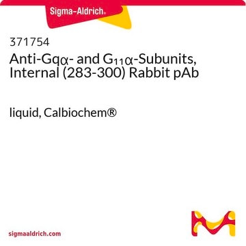 Anti-Gq&#945;- and G&#8321;&#8321;&#945;-Subunits, Internal (283-300) Rabbit pAb liquid, Calbiochem&#174;