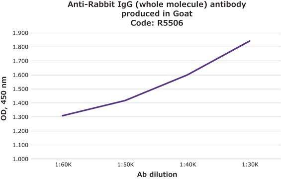 Anti-Rabbit IgG (whole molecule) antibody produced in goat IgG fraction of antiserum, buffered aqueous solution