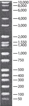 DirectLoad&#8482; Wide Range DNA Marker ready-to-use marker for DNA electrophoresis