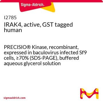 IRAK4, active, GST tagged human PRECISIO&#174; Kinase, recombinant, expressed in baculovirus infected Sf9 cells, &#8805;70% (SDS-PAGE), buffered aqueous glycerol solution