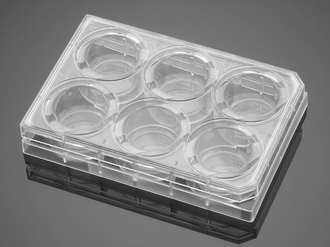 Corning&#174; BioCoat&#8482; Fibronectin Multiwell Plate well size 6&#160;wells, flat bottom clear wells, lid