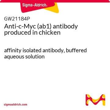 Anti-c-Myc (ab1) antibody produced in chicken affinity isolated antibody, buffered aqueous solution