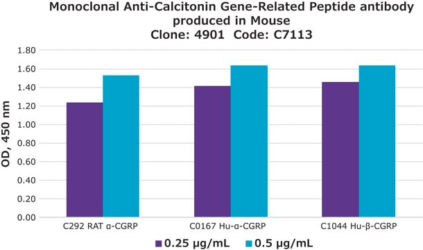 Anti-Calcitonin Gene-Related Peptide antibody, Mouse monoclonal clone 4901, purified from hybridoma cell culture