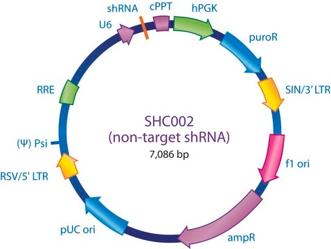 MISSION&#174; pLKO.1-puro Non-Mammalian shRNA Control Transduction Particles, High Titer Targets no known mammalian genes